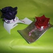Rose eternelle