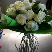 Roses blanches