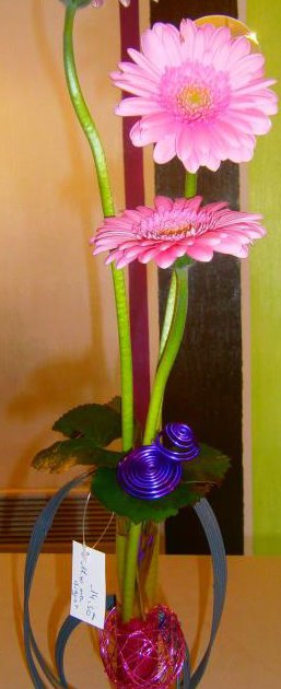 composition de germini rose