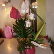 Composition de fleurs exotiques