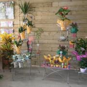 travaux magasin + mariage 006