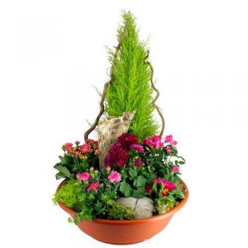 Coupe de plantes 1